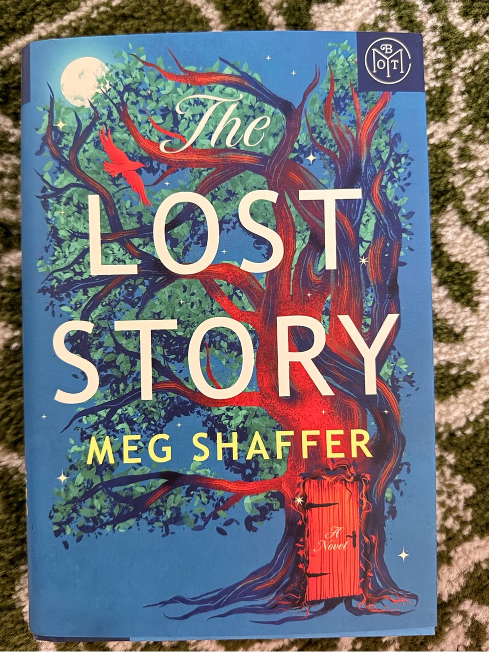 The Lost Story- Hardcover Novel